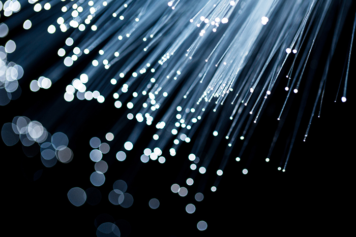 Introduction to Cook Brain